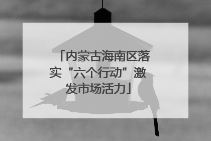 内蒙古海南区落实“六个行动”激发市场活力