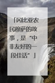 冈比亚农民穆萨的故事，是“中非友好的一段佳话”