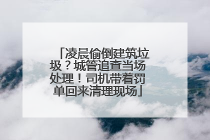凌晨偷倒建筑垃圾？城管追查当场处理！司机带着罚单回来清理现场