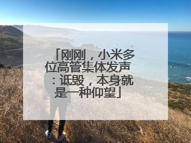 刚刚，小米多位高管集体发声：诋毁，本身就是一种仰望