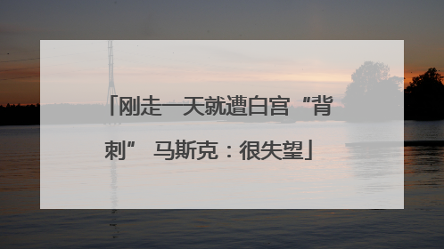 刚走一天就遭白宫“背刺” 马斯克：很失望