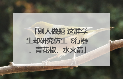 别人做题 这群学生却研究仿生飞行器、青花椒、水火箭
