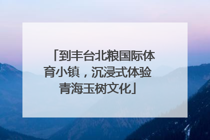 到丰台北粮国际体育小镇，沉浸式体验青海玉树文化