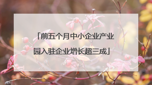 前五个月中小企业产业园入驻企业增长超三成