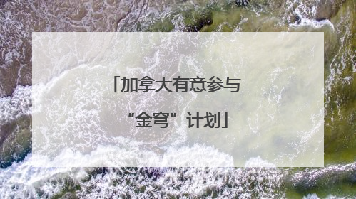 加拿大有意参与“金穹”计划