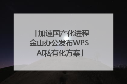 加速国产化进程 金山办公发布WPS AI私有化方案