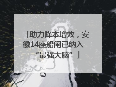 助力降本增效，安徽14座船闸已纳入“最强大脑”