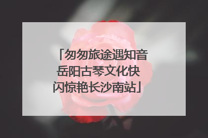 匆匆旅途遇知音 岳阳古琴文化快闪惊艳长沙南站