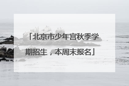 北京市少年宫秋季学期招生，本周末报名