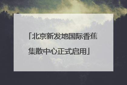 北京新发地国际香蕉集散中心正式启用