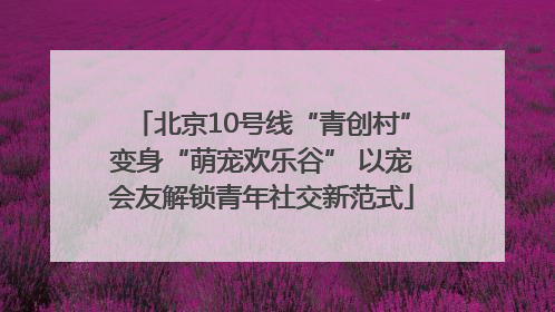 北京10号线“青创村”变身“萌宠欢乐谷” 以宠会友解锁青年社交新范式