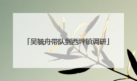 吴毓舟带队到西坪镇调研