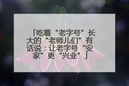 吃着“老字号”长大的“老师儿们”有话说：让老字号“安家”更“兴业”