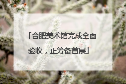 合肥美术馆完成全面验收，正筹备首展
