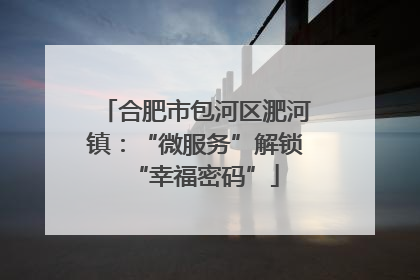 合肥市包河区淝河镇：“微服务”解锁“幸福密码”