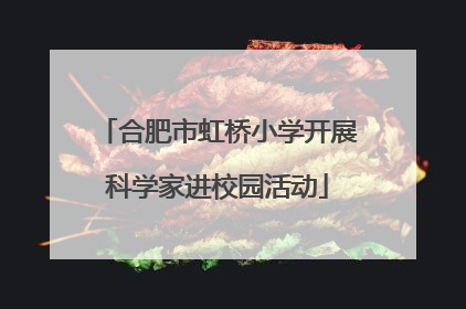 合肥市虹桥小学开展科学家进校园活动