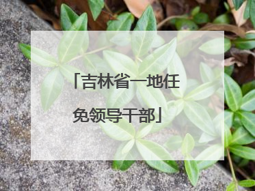 吉林省一地任免领导干部