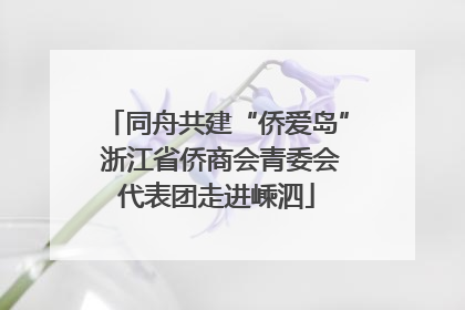 同舟共建“侨爱岛” 浙江省侨商会青委会代表团走进嵊泗