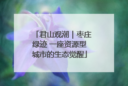 君山观潮｜枣庄绿迹 一座资源型城市的生态觉醒