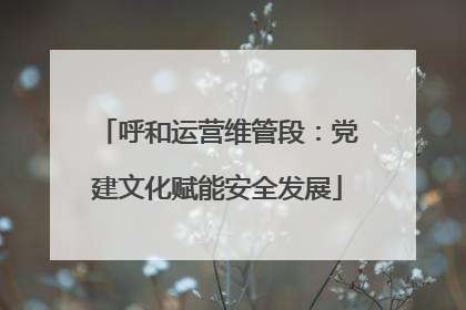 呼和运营维管段：党建文化赋能安全发展