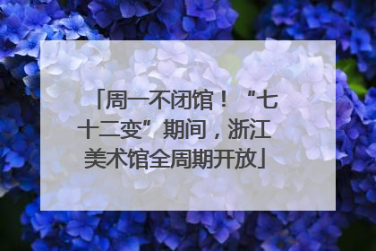 周一不闭馆！“七十二变”期间，浙江美术馆全周期开放
