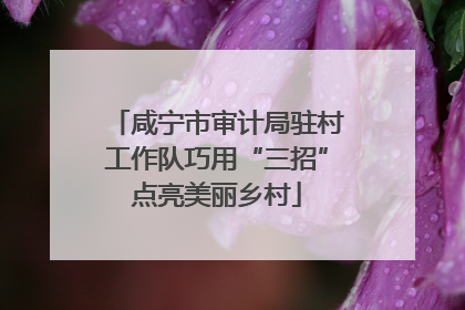 咸宁市审计局驻村工作队巧用“三招”点亮美丽乡村