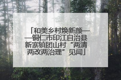和美乡村焕新颜——铜仁市印江自治县新寨镇团山村“两清两改两治理”见闻