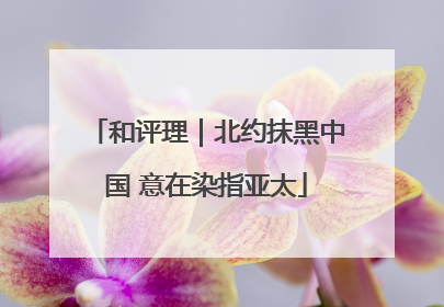 和评理｜北约抹黑中国 意在染指亚太