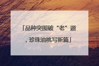 品种突围破“老”题，珍珠油桃写新篇