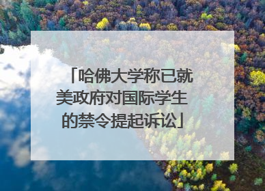 哈佛大学称已就美政府对国际学生的禁令提起诉讼