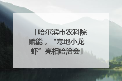 哈尔滨市农科院赋能，“寒地小龙虾”亮相哈洽会
