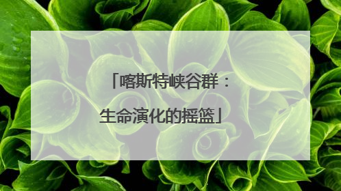 喀斯特峡谷群：生命演化的摇篮