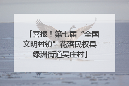喜报！第七届“全国文明村镇”花落民权县绿洲街道吴庄村