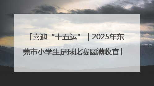 喜迎“十五运”｜2025年东莞市小学生足球比赛圆满收官