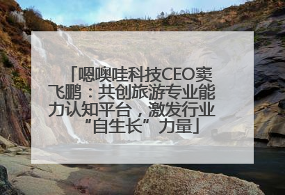 嗯噢哇科技CEO窦飞鹏：共创旅游专业能力认知平台，激发行业“自生长”力量