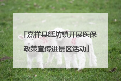嘉祥县纸坊镇开展医保政策宣传进景区活动