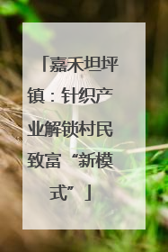 嘉禾坦坪镇：针织产业解锁村民致富“新模式”