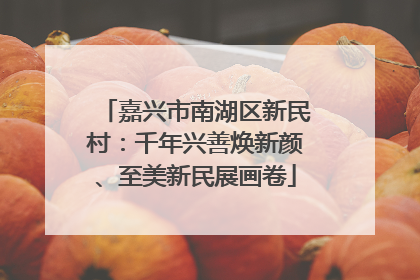 嘉兴市南湖区新民村：千年兴善焕新颜、至美新民展画卷