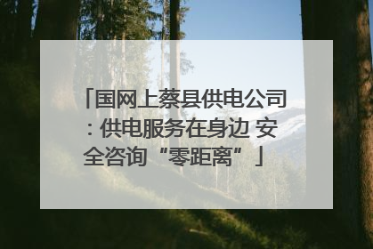 国网上蔡县供电公司：供电服务在身边 安全咨询“零距离”
