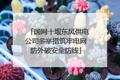 国网十堰东风供电公司多举措筑牢电网防外破安全防线