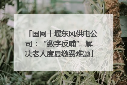 国网十堰东风供电公司：“数字反哺” 解决老人度夏缴费难题