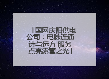 国网庆阳供电公司：电脉连通诗与远方 服务点亮露营之光