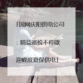 国网庆阳供电公司：精益巡检不停歇 迎峰度夏保供电