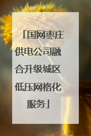 国网枣庄供电公司融合升级城区低压网格化服务