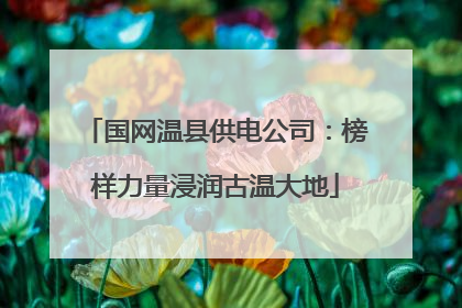 国网温县供电公司：榜样力量浸润古温大地