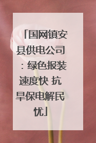 国网镇安县供电公司：绿色报装速度快 抗旱保电解民忧