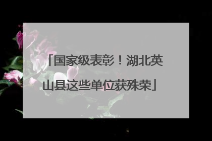 国家级表彰！湖北英山县这些单位获殊荣