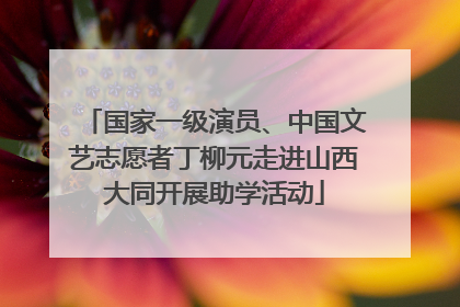 国家一级演员、中国文艺志愿者丁柳元走进山西大同开展助学活动