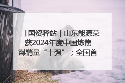 国资驿站｜山东能源荣获2024年度中国炼焦煤销量“十强”；全国首例铁路盖上智慧物流园钢结构主体完工
