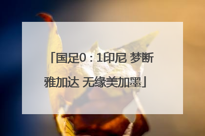 国足0∶1印尼 梦断雅加达 无缘美加墨